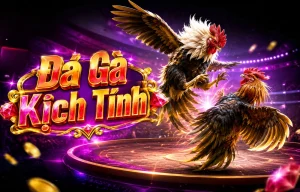 Sảnh Đá Gà QuakeMediaGroup